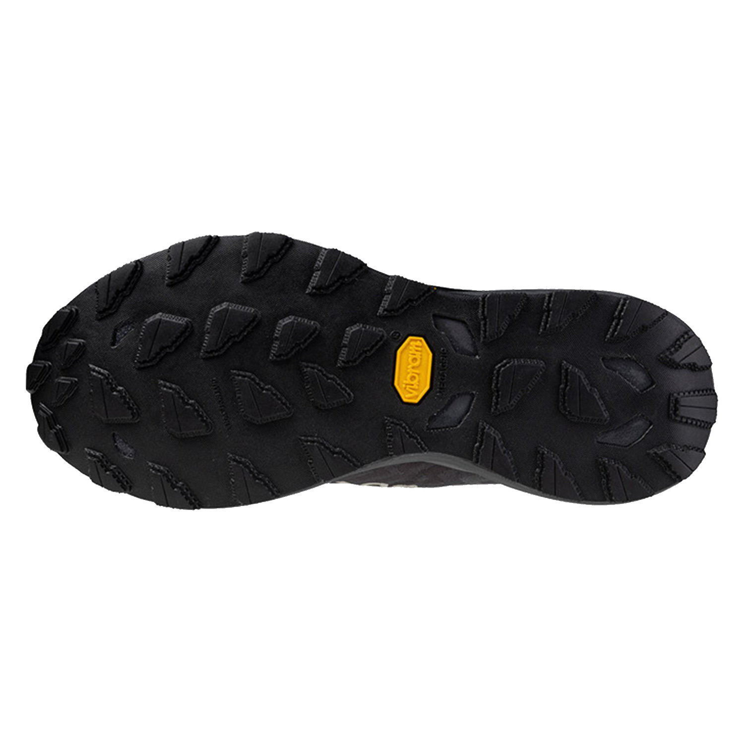 Кроссовки мужские MIZUNO WAVE DAICHI 8 GTX