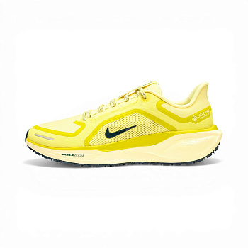 Кроссовки мужские NIKE PEGASUS 41 GTX